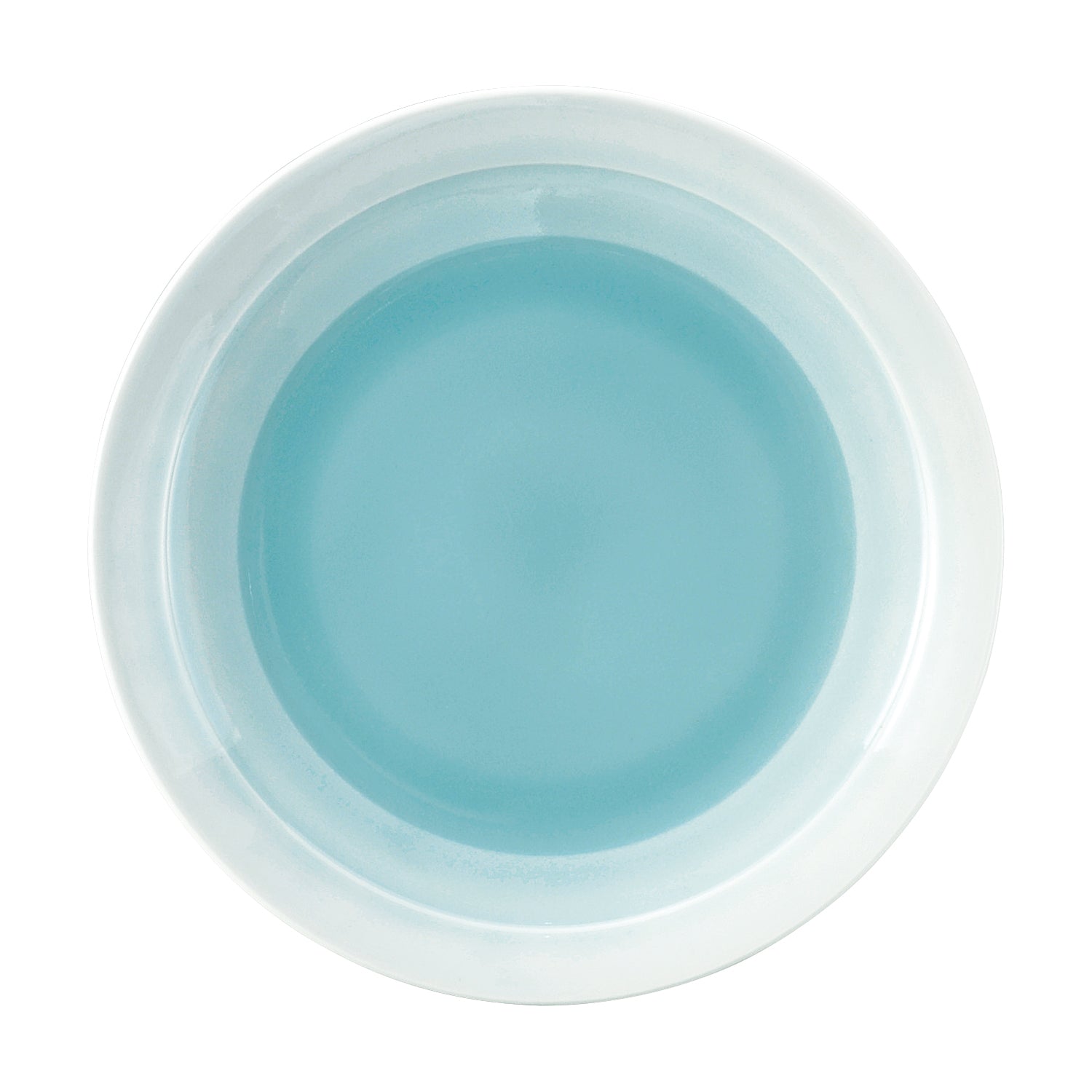 MINOYAKI Pastel Plate 00095 MST095