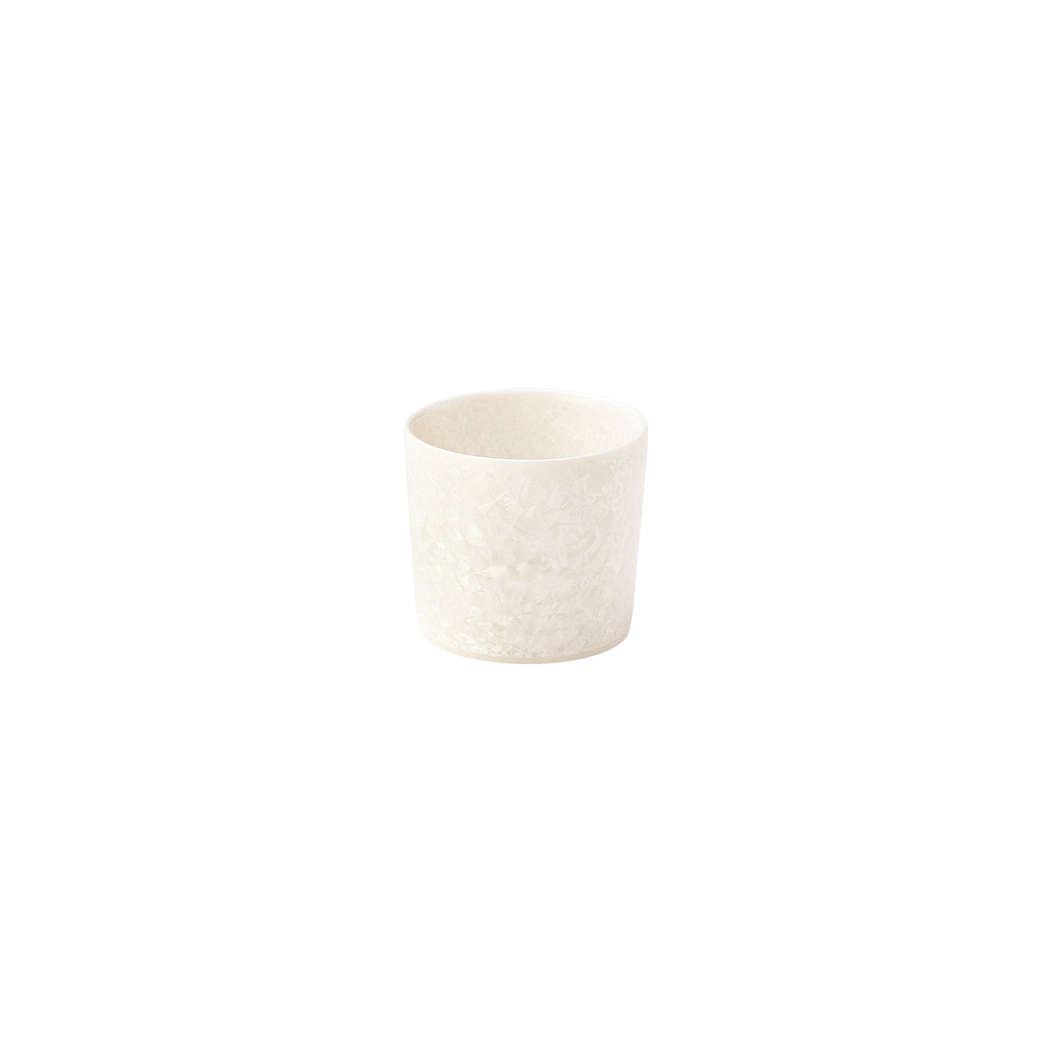 MINOYAKI Monochrome Cup 00100 MST098